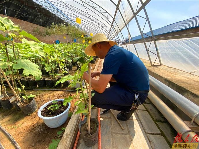  科研|庆阳市农科院西峰区温泉科研基地对外开放一周