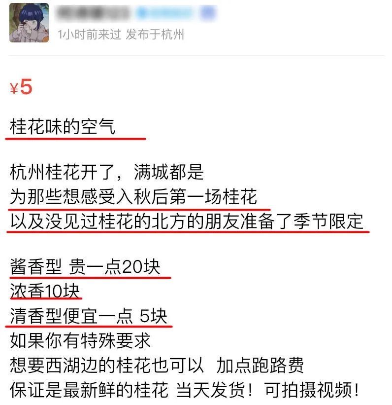 真的|我们北方人一点也不羡慕南方的桂花，真的！