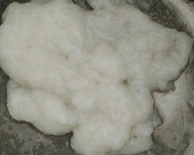 五仁|广式传统五仁月饼