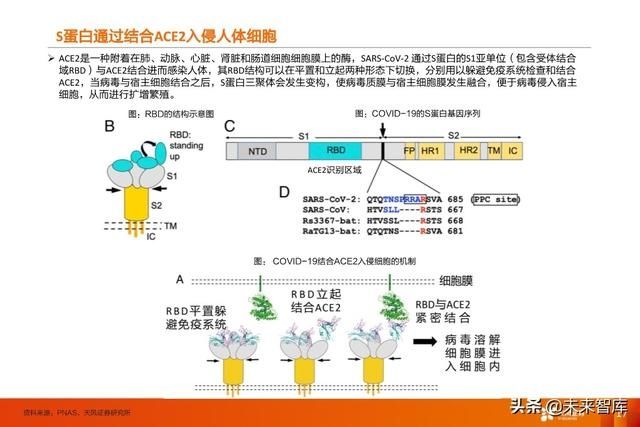 临床试验|疫苗行业深度报告:新冠疫苗谁将拔得头筹