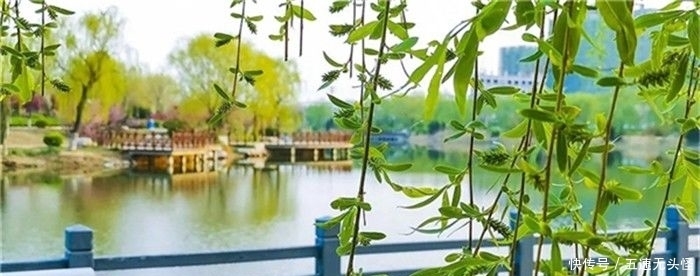 春光|全国特色小镇春光正好