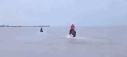  大海|银鞍骏马驰如风,冲入大海救危童,网友:大侠,请收下我的膝盖!