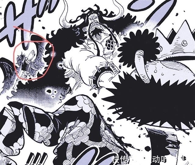  大老板凯多|海贼王：大和将军被斩杀，还有烬的功劳，不愧是四皇第一心腹