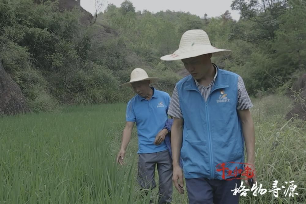 守护者|兴国鱼丝与它的守护者们