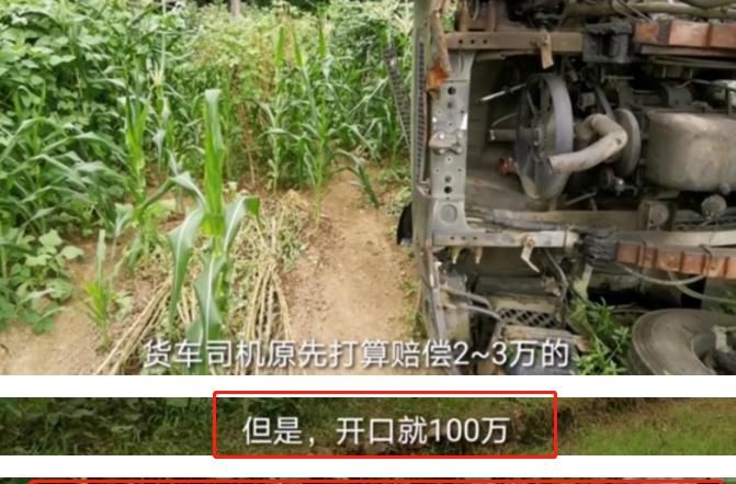  意外|大货车意外冲进庄稼，农民索要100万赔偿，车主：你们想钱想疯了