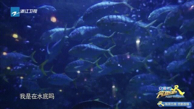  奔跑|今晚，继续跟着《奔跑吧》逛青岛！