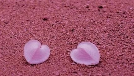 倒贴|“没彩礼被嘲笑倒贴，十年后，所有人都羡慕我命好”