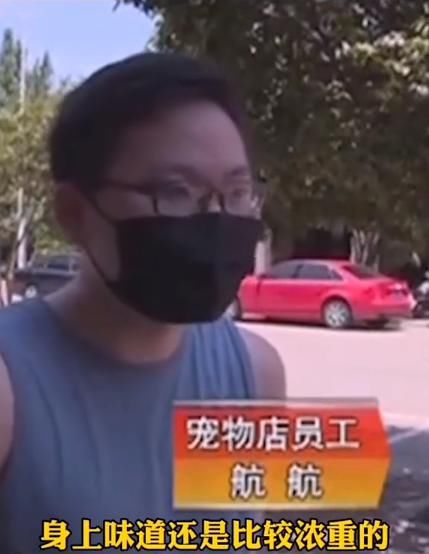  世界|啊，谁是世界上最蠢的贼？