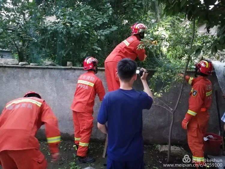  村民|17：30，淄博一村民家中突然发现一条2米长大花蛇...