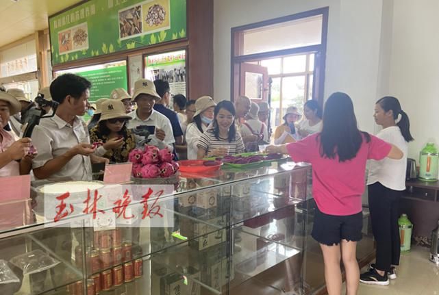 仁东镇鹏垌|令人骄傲！玉林这些地方的变化真大
