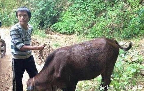 基地|抗战之后,日军死都不愿意说出的地方,被放牛娃发现并揭开秘密