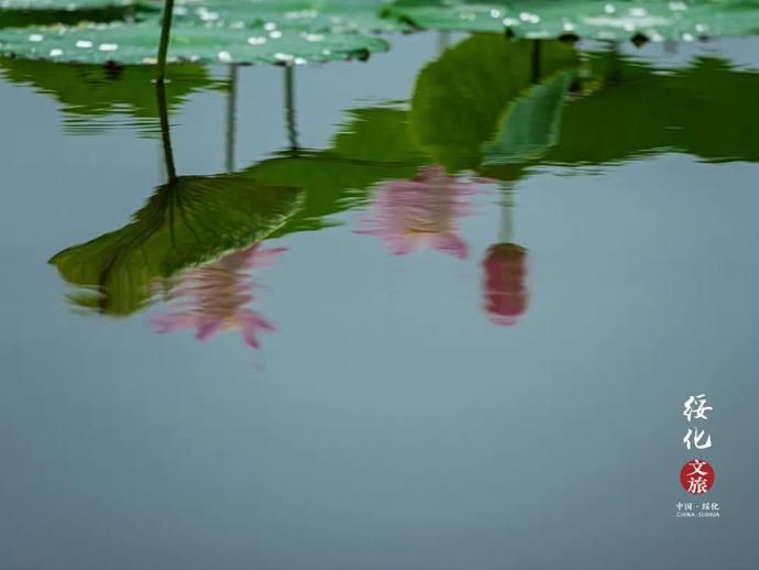  田园|【美好生活的“桃花源”】一场沉浸时光的田园之旅