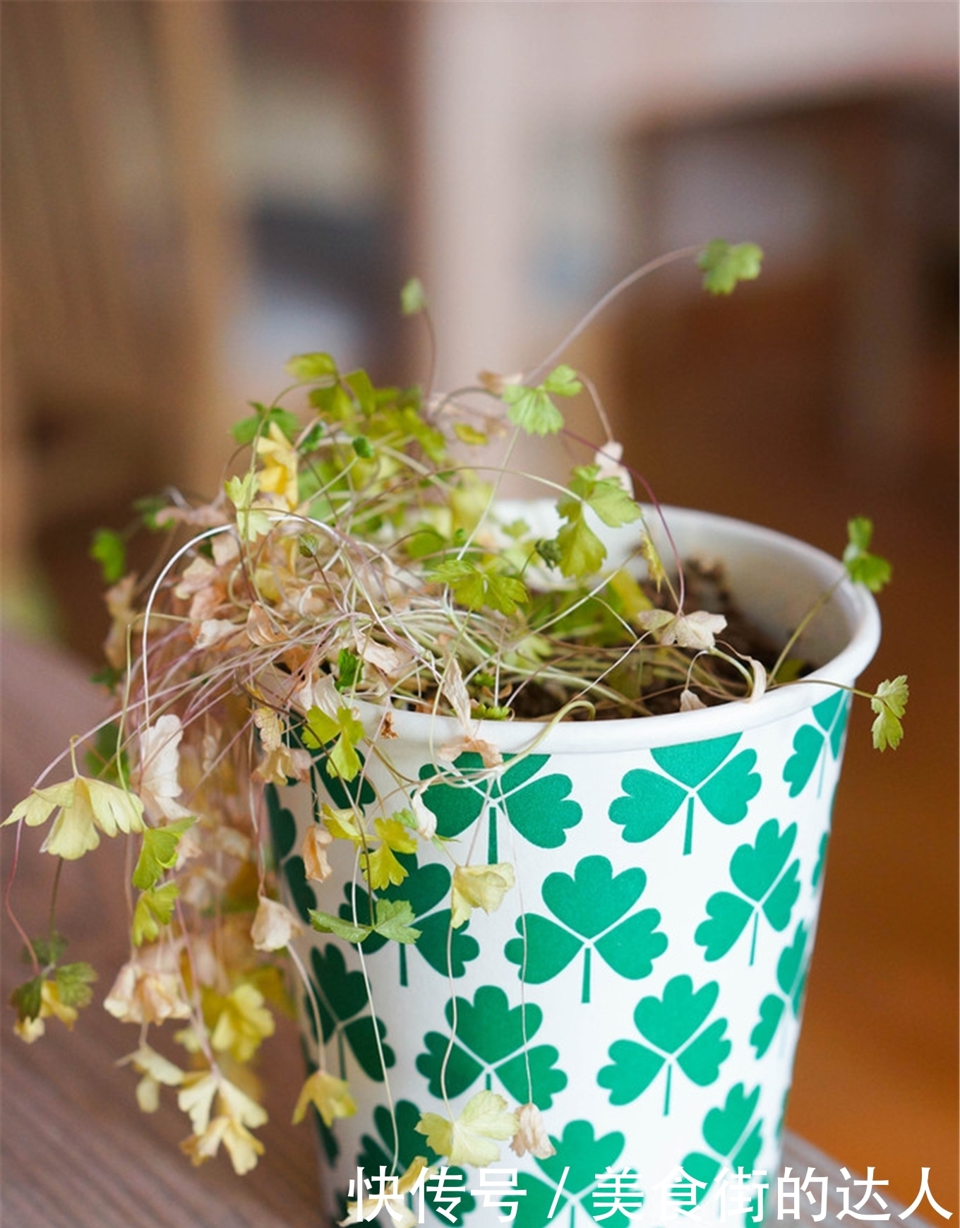  温暖|可能你做不到，让亲人温暖的消逝，但可以做到最后的告白