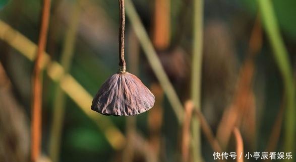 诚信|人到中年,遇到这三种人,记得深交