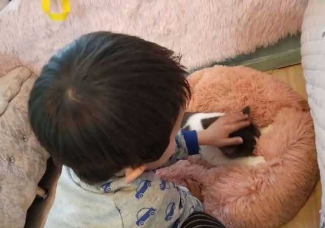  金钱|66岁百亿富豪杀妻背后，藏着3条血一样的教育真相：关于人性、金钱、欲望