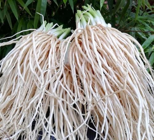  蔬菜|7种长相“奇特”的蔬菜，你见过吗？你敢吃吗？吃过的人忘不掉