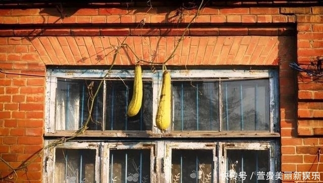 看过|看过太多的海,仍为这座“北方明珠”着迷