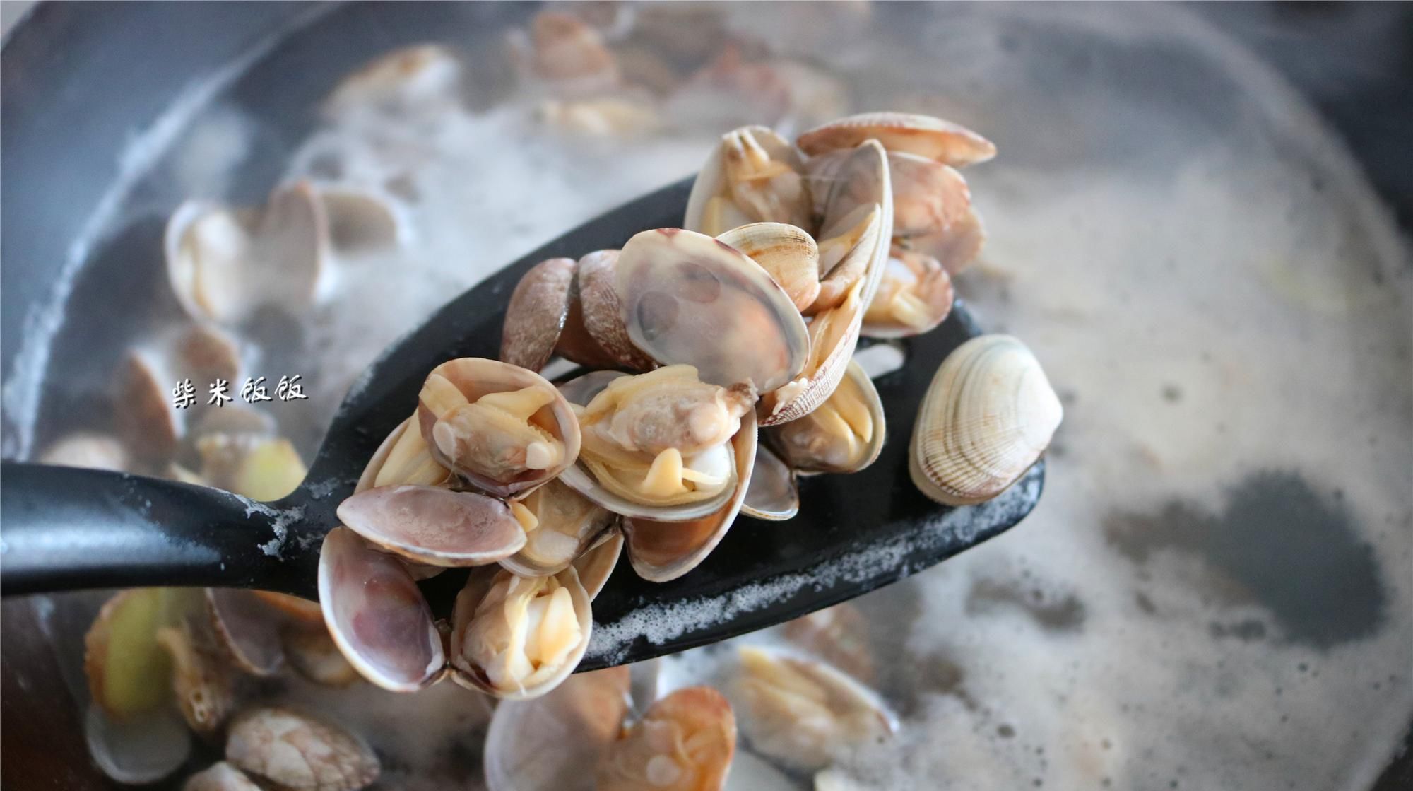 放盐|花蛤吐沙, 只放盐太慢了! 多两步, 吐得又快又干净