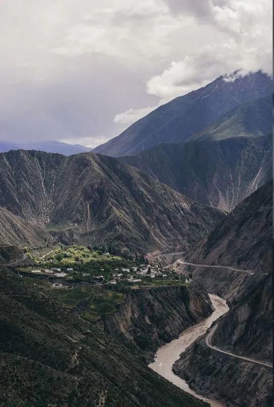  萝卜|好物推荐 | 营养与美味兼具，快来一碗酸萝卜老鸭汤！