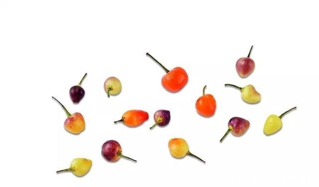 辣椒|《中国辣椒报告指南》辣椒达人细数地方名辣,品鉴中国最热辣椒