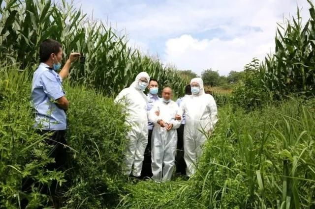  民警|妻子杀夫逃亡30年！年近古稀被捕，被害人竟被藏在……