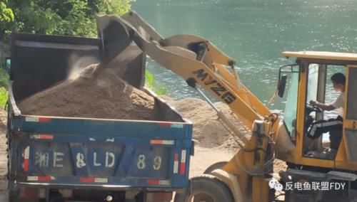  放生|银环蛇、黄喉蛇被困地笼网！志愿者将其放生