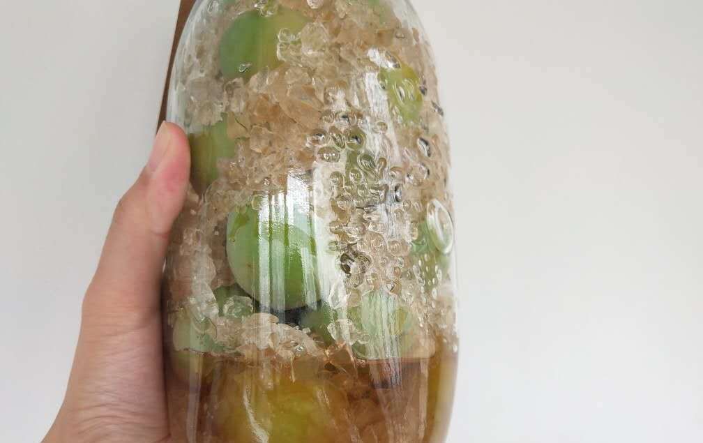  冰糖|家中必备小甜酒, 喝上一口惬意舒心, 高度青梅酒和梅子露的做法来咯