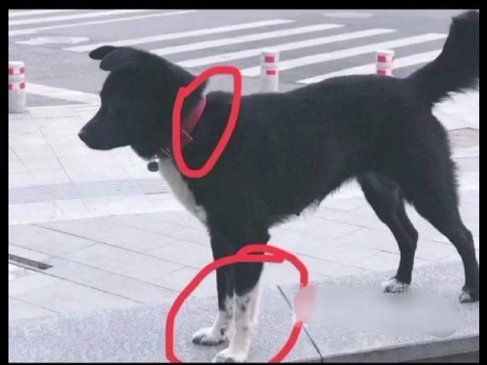  高端|高端的黄牛都是用最朴素的方法解决问题