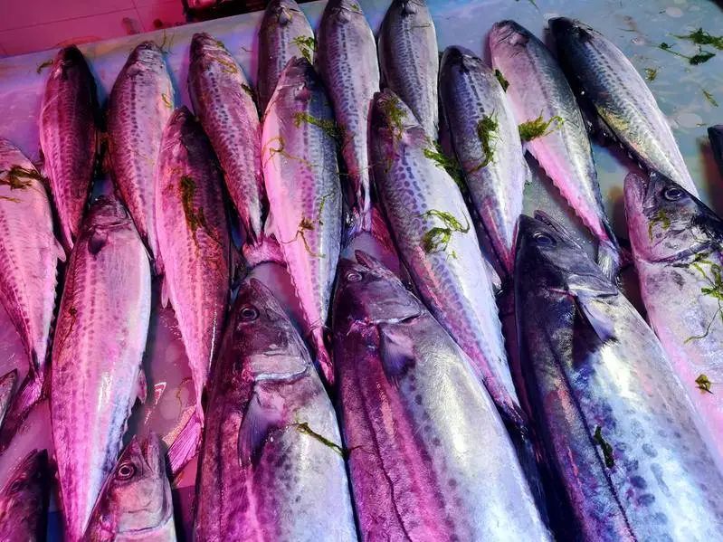 今日|今日开海!这84种海鲜,你都认识吗?你真的会吃海鲜吗?