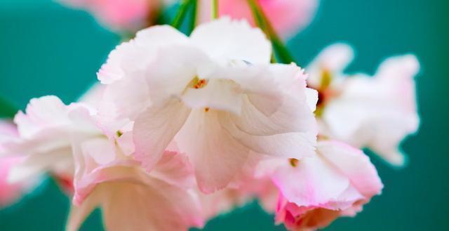  必读|发人深省的24句人生感悟句子，精辟入骨，一生必读