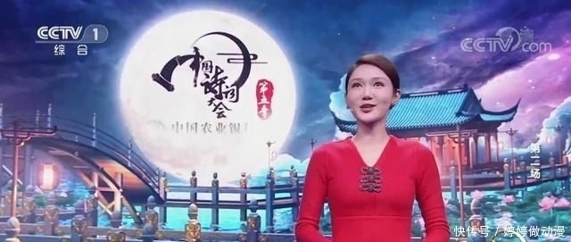 中国|中国诗词大会龙洋主持渐入佳境,生动活泼,诗词功底是硬伤