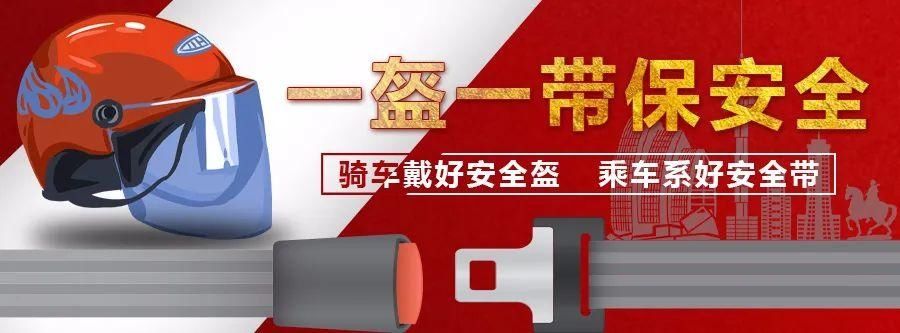 发现|「1038」假期出行路上如果发现他们，发给我们来曝光