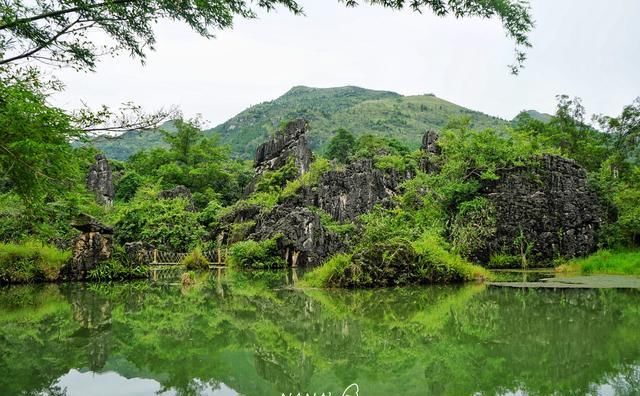  景区大门|贵州最大的瀑布群，一年四季气候舒适，是来贵旅游必打卡的景点