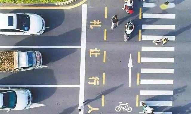  情况|生活里，是不是不管什么情况下都要礼让行人，为什么？