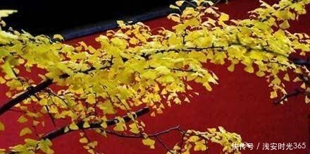 真准|喝一次酒,就看出一个人的性情!真准!(深度好文)