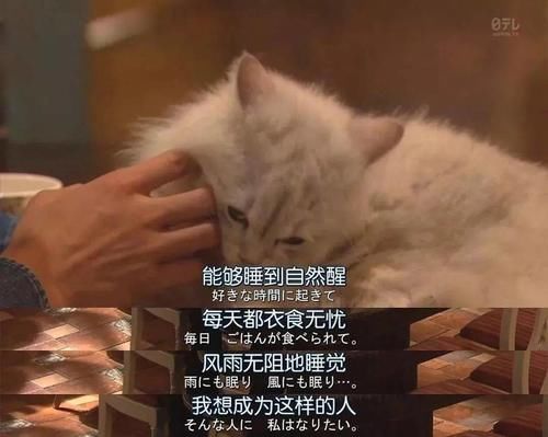  柳丁吃吃团|能吃到一起的，才是好朋友！