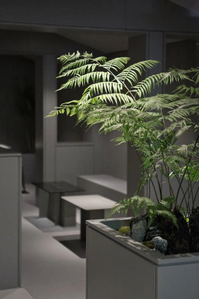  回顾|来回咖啡|打造去品牌化咖啡文化社区——NCA回顾系列VOL.4