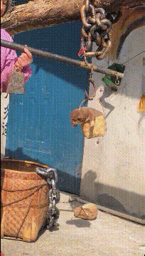  吃饭|搞笑GIF：你们怎么回事，中午没吃饭啊！可是一群女生！