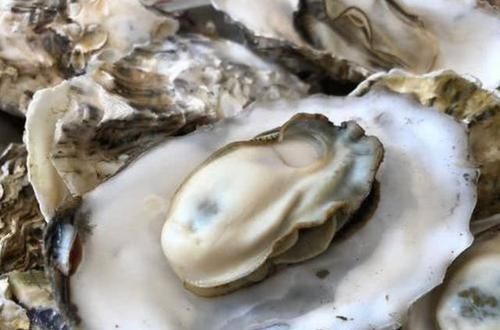  转身|买生蚝时, 聪明人看到这3种转身就走, 海鲜老板: 从不给家里人吃