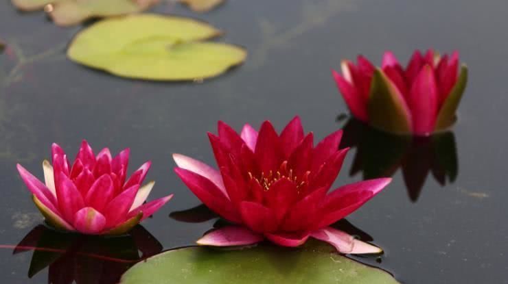  赚钱|8月开始赚钱如流水，贵人运旺，富贵不倒的四大属相