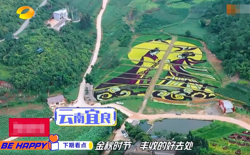  天天向上|《天天向上》丰收游，王一博遭受“挫折教育”，粉丝笑得像个后妈