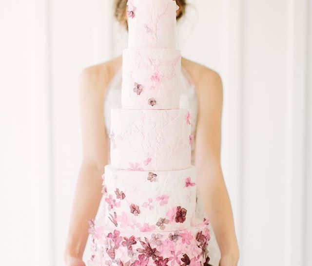 告诉|这些蛋糕的设计者,告诉你什么叫真正的蛋糕