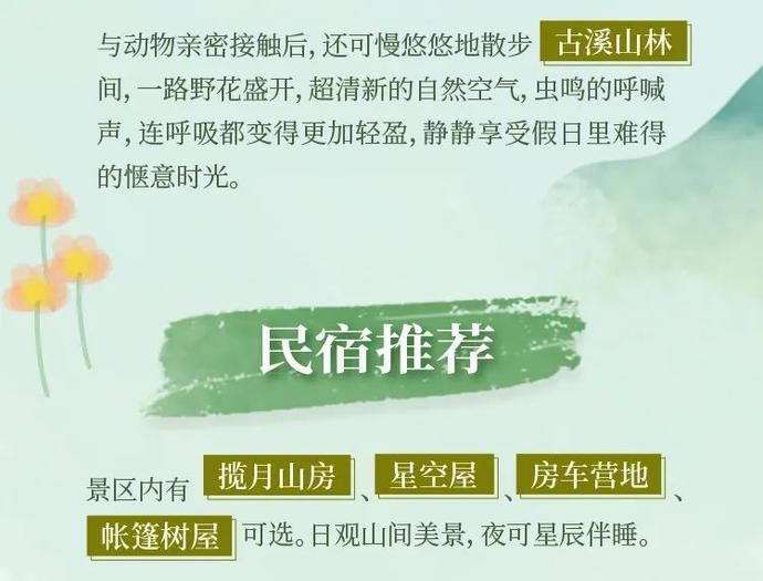 今夏|民宿福利 | 打卡今夏萤火虫最多的观赏圣地，这趟2日亲子游全！程！高！能！