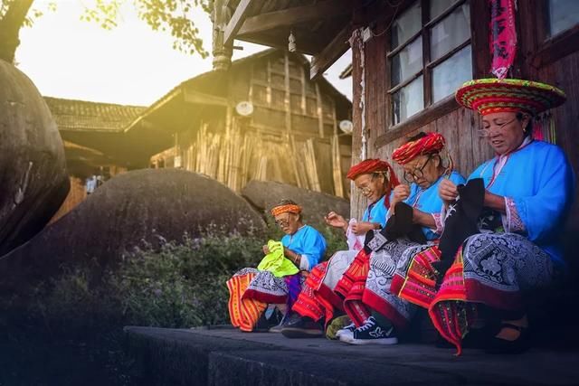 崇木|崇木凼村：与“古树”相生相成