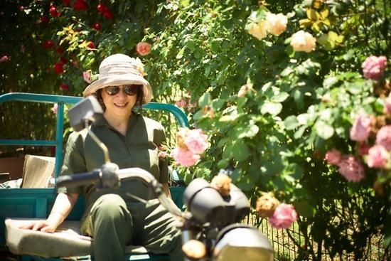 步伐|跟着“文化园长”陈丹燕的步伐 见证“翻译家”月季在上海辰山植物园诞生