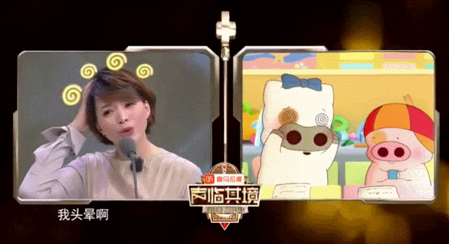  生活|这档被埋没的神仙综艺，值一个热搜！董卿插花比主持更美