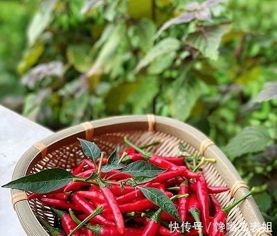  不欢|无辣不欢！万能辣椒酱 一学就会！