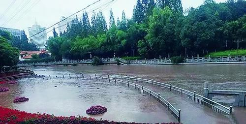  暴雨|暴雨来袭，全城行动