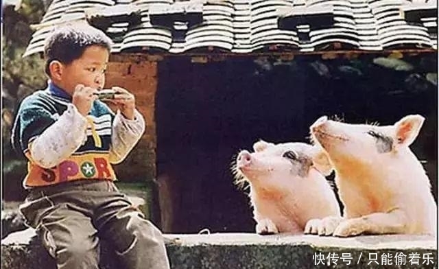 程度|十张境界高到一定程度的图片。