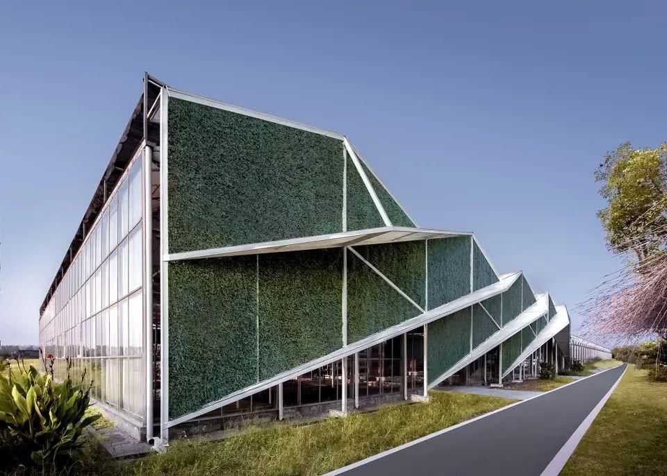  不落俗套|乡建如何不落俗套？15个最佳乡村建筑告诉你